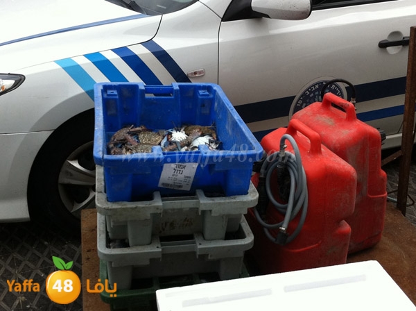 police mina2 wj (12).JPG